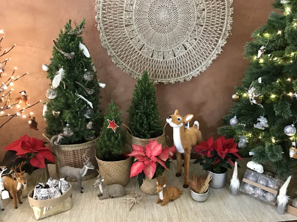 MUST-HAVE CHRISTMAS DECORATIONS - The Garden of Eden Nursery